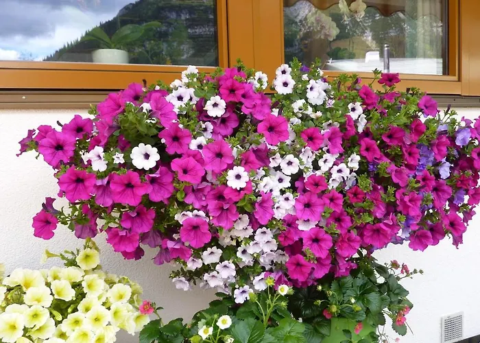 Haus Odo Lech am Arlberg